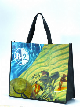Non-woven shopping bags(NC707N)