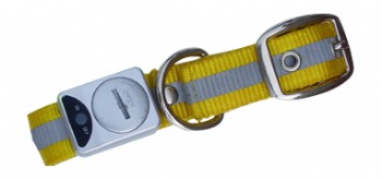 Pet Collar(YZ-CWD003)