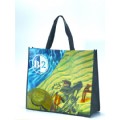 Non-woven shopping bags(NC707N)